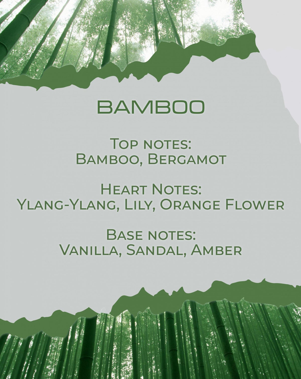 Νότες αρώματος Bamboo: μπαμπού, ylang-ylang, βανίλια — BY VELCHEVA