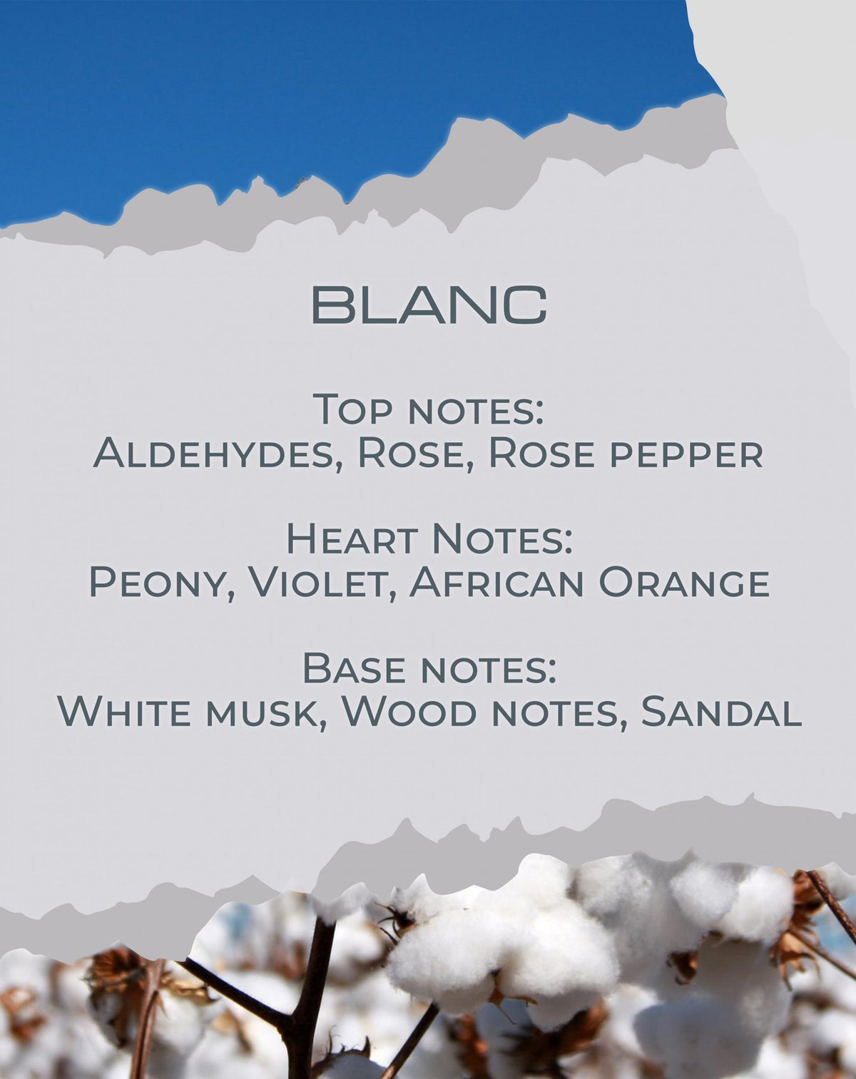  Νότες αρώματος Blanc: αλδεΰδες, παιωνία, λευκός μόσχος — BY VELCHEVA