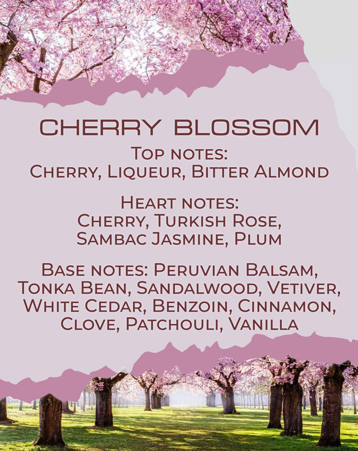 Νότες αρώματος Cherry Blossom: κεράσι, τριαντάφυλλο, βανίλια — BY VELCHEVA