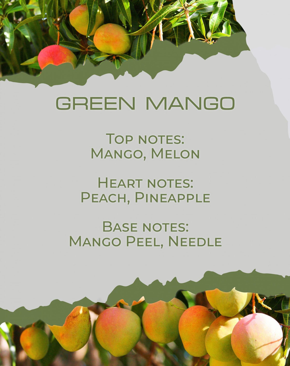 Νότες αρώματος Green Mango: μάνγκο, ανανάς, ροδάκινο — BY VELCHEVA