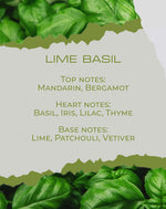 Νότες αρώματος Lime Basil: λάιμ, βασιλικός, θυμάρι — BY VELCHEVA