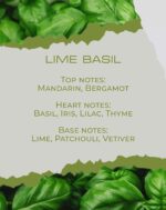 LIME BASIL - Image 2