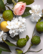 Κρέμα σώματος Carolina - Image 2